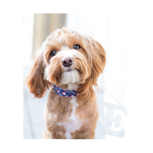 Load image into Gallery viewer, Photo Panel with Love Portrait