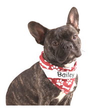 Load image into Gallery viewer, Cool Designs Quality Pet Bandanas - 10 Personalised Styles