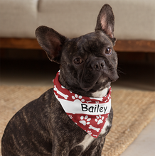 Load image into Gallery viewer, Cool Designs Quality Pet Bandanas - 10 Personalised Styles