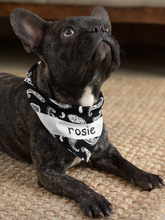 Load image into Gallery viewer, Cool Designs Quality Pet Bandanas - 10 Personalised Styles