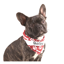 Load image into Gallery viewer, Cool Designs Quality Pet Bandanas - 10 Personalised Styles
