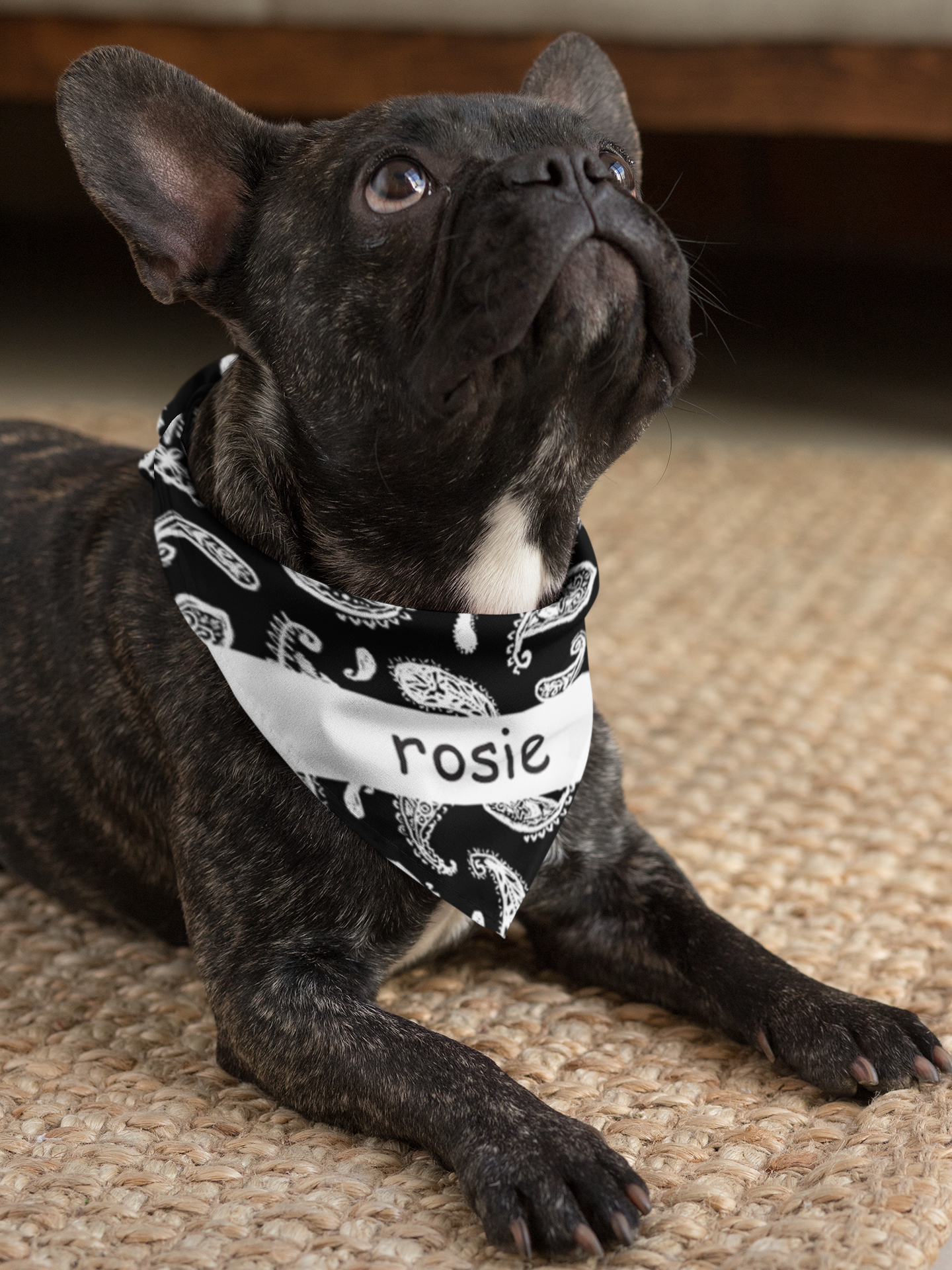 Cool Designs Quality Pet Bandanas 10 Personalised Styles