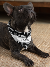 Load image into Gallery viewer, Cool Designs Quality Pet Bandanas - 10 Personalised Styles
